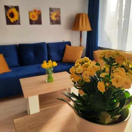 Apartment Baltycka Sardynka *