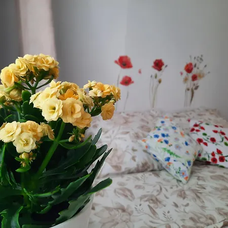 Baltycka Sardynka * Ustka