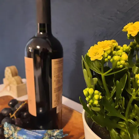 Apartment Baltycka Sardynka Ustka