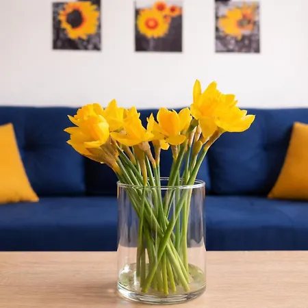 Bałtycka Sardynka Apartament Ustka