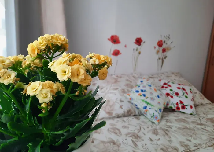 Baltycka Sardynka * Ustka